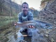 Sava river Hucho winter